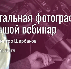 Виктор Щербаков – Дентальная фотография
