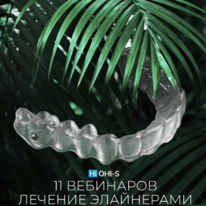 Крис Чанг, Диего Педро – Элайнеры от А до Я